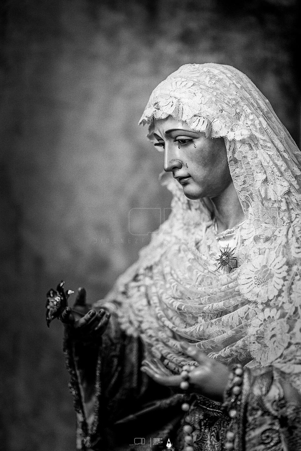 Estrella Inmaculada 